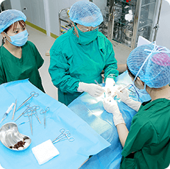 phuong-phap-dong-tay-y