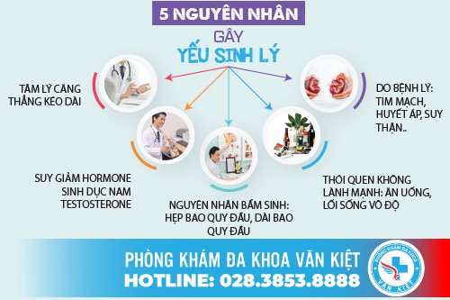 Những Nguyên Nhân Gây Ra Tình Trạng Yếu Sinh Lý Ở Nam Giới