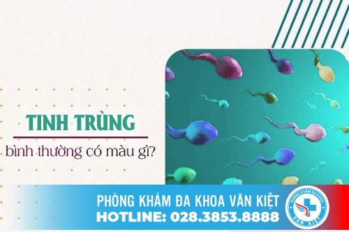 Tinh Trùng Có Màu Gì Là Bình Thường?