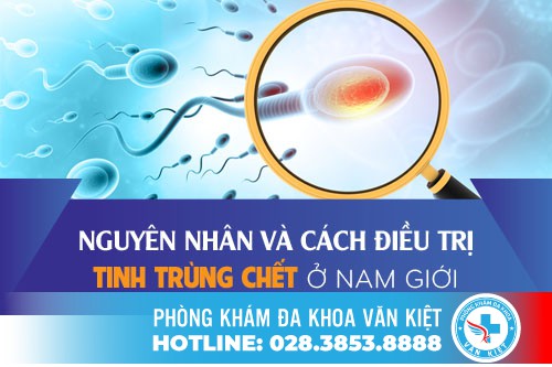 Cách Hỗ Trợ Điều Trị Tinh Trùng Chết An Toàn Và Hiệu Quả