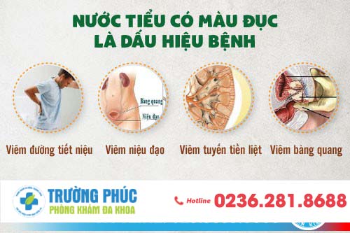 Nước tiểu đục là dấu hiệu của bệnh gì?