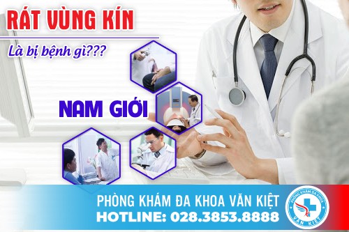 RÁT VÙNG KÍN NAM GIỚI VÀ CÁCH ĐIỀU TRỊ HIỆU QUẢ
