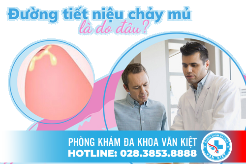 Đường Tiết Niệu Chảy Mủ Là Do Đâu ?