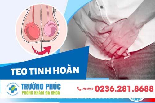 Bệnh teo tinh hoàn là gì? có nguy hiểm không? nguyên nhân và cách chữa tốt nhất hiện nay