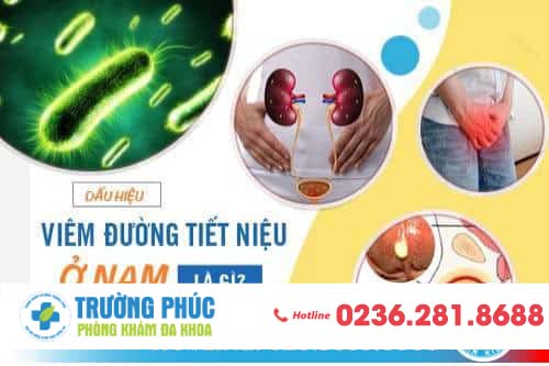 VIÊM ĐƯỜNG TIẾT NIỆU Ở NAM GIỚI VÀ NHỮNG PHƯƠNG PHÁP ĐIỀU TRỊ VƯỢT TRỘI