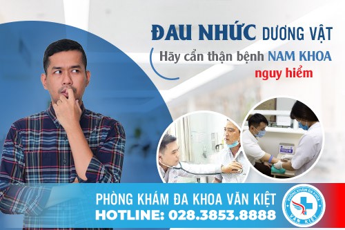 NGUYÊN NHÂN ĐAU NHỨC DƯƠNG VẬT PHỔ BIẾN NAM GIỚI CẦN BIẾT