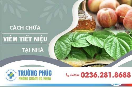 Cách chữa viêm đường tiết niệu tại nhà