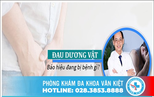 Đau Dương Vật Hãy Cẩn Thận Với Những Bệnh Lý Nguy Hiểm