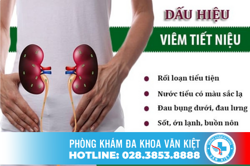 Nguyên nhân và dấu hiệu viêm đường tiết niệu ở nam giới