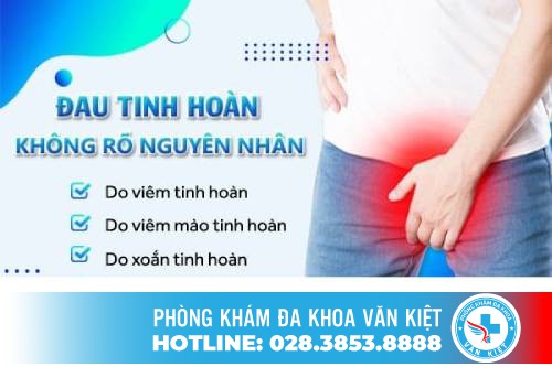 Nhiều bệnh bắt nguồn từ việc đau tinh hoàn