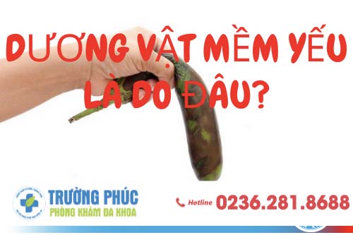 Dương vật mềm yếu là do đâu và cách điều trị như thế nào?