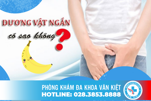 Dương vật có kích thước khiêm tốn, nguyên nhân do đâu? Dương vật có kích thước khiêm tốn, nguyên nhân do đâu?