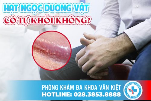 Hạt ngọc dương vật có tự khỏi không? Nguyên nhân và cách điều trị hạt ngọc dương vật