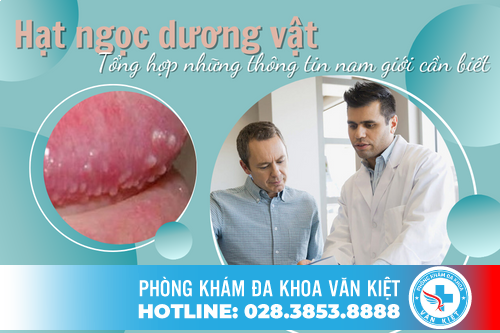 Hạt ngọc dương vật - Tổng hợp những thông tin nam giới cần biết