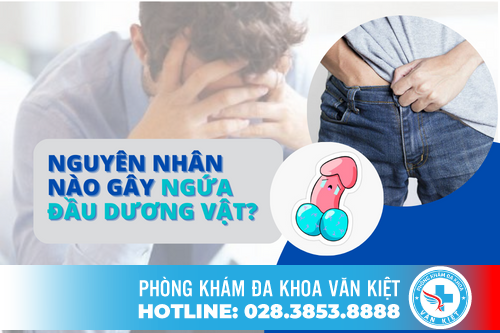 Phát Điên Với Tình Trạng Ngứa Vùng Kín Ở Nam Giới