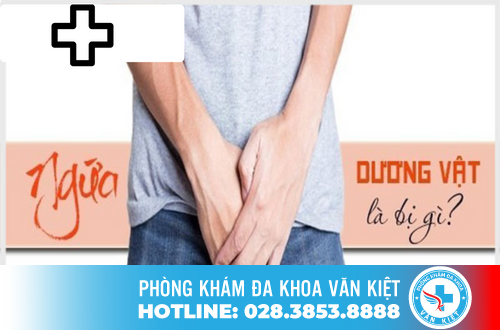 Tình trạng ngứa dương vật ở nam giới Tình trạng ngứa dương vật ở nam giới