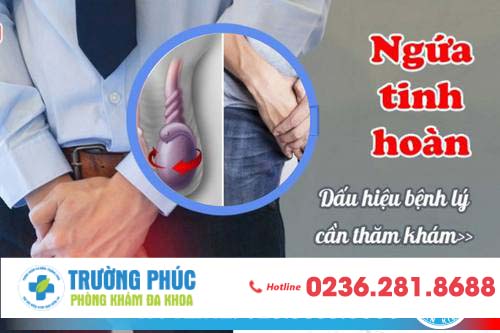 Khắc phục tình trạng ngứa tinh hoàn ở nam giới
