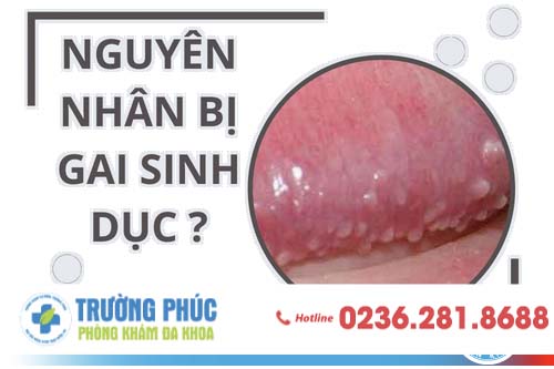 Nguyên nhân bị gai sinh dục