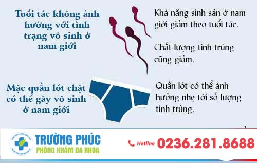 Nguyên Nhân Gây Vô Sinh Ở Nam Giới Là Gì? Phương Pháp Chữa Trị
