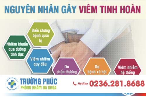 Viêm tinh hoàn - nguyên nhân, triệu chứng và cách điều trị hiệu quả