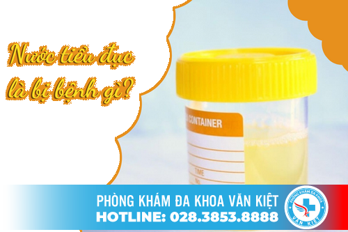 Nước tiểu đục là bị bệnh gì?