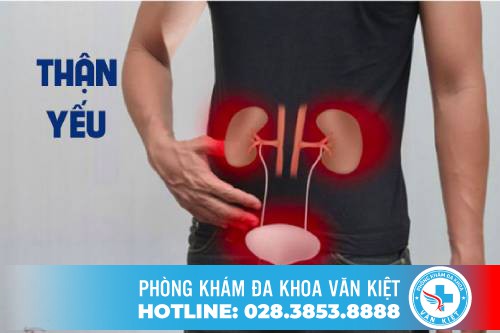 Những điều nam giới nên biết về thận yếu