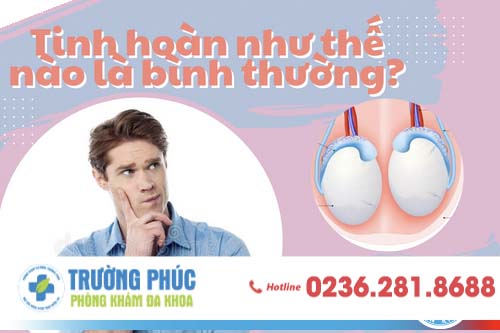 TINH HOÀN NHƯ THẾ NÀO LÀ BÌNH THƯỜNG?