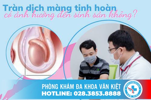 Tràn Dịch Màng Tinh Hoàn Có Ảnh Hưởng Đến Khả Năng Sinh Sản Không?
