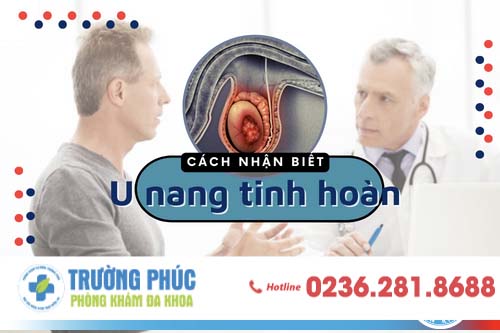 U nang tinh hoàn là bệnh gì và trị như thế nào