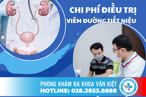 Điều Trị Bệnh Viêm Đường Tiết Niệu Có Mức Giá Là Bao Nhiêu?