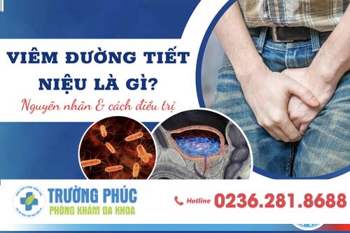 Viêm đường tiết niệu là bệnh gì? nguyên nhân bị viêm đường tiết niệu