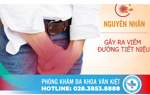 Viêm Đường Tiết Niệu Ở Nam Giới, Nguyên Nhân Và Cách Chữa Trị