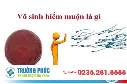 Vô sinh hiếm muộn là gì? Vô sinh hiếm muộn là gì?