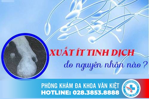 Xuất Tinh Ít Nguyên Nhân Và Cách Chữa Trị